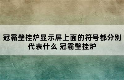 冠霸壁挂炉显示屏上面的符号都分别代表什么 冠霸壁挂炉